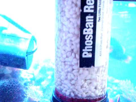 running npx bio bead