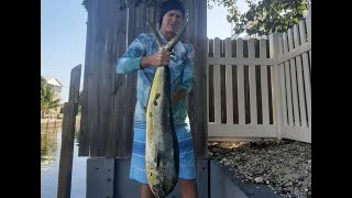 How to catch Mahi in the Florida Keys. Simple effective tactics for beginners and pros.