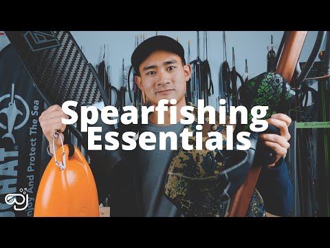 Spearfishing: The Ultimate Guide for Beginners and Beyond