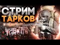 🌊Kappa | 272 День поднятия онлайна с 0 🌊| Solo Gaming | PvP | 65 LVL #стрим #lostlight #tarkov #eft