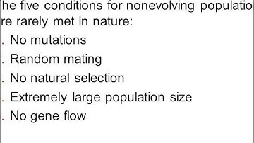 Chapter 23 Lecture video