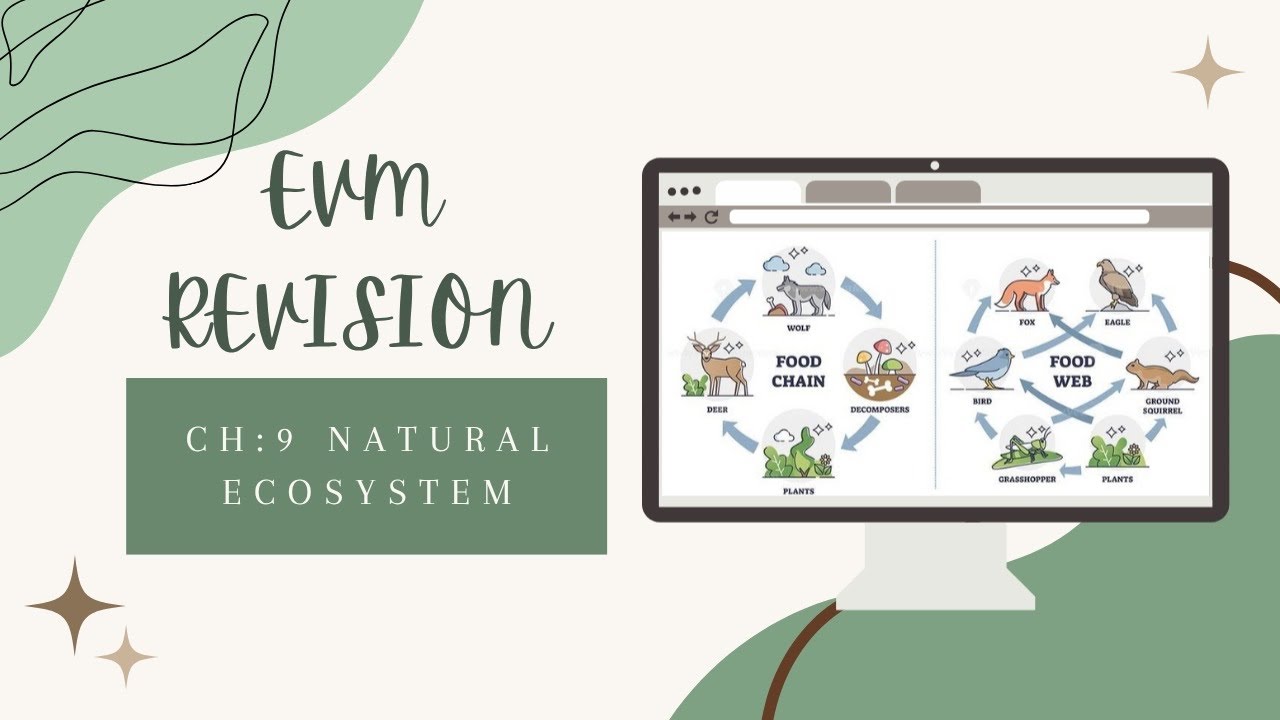 Chapter 9 Natural Ecosystem Revision | Environmental Management IGCSE  (2025 syllabus)