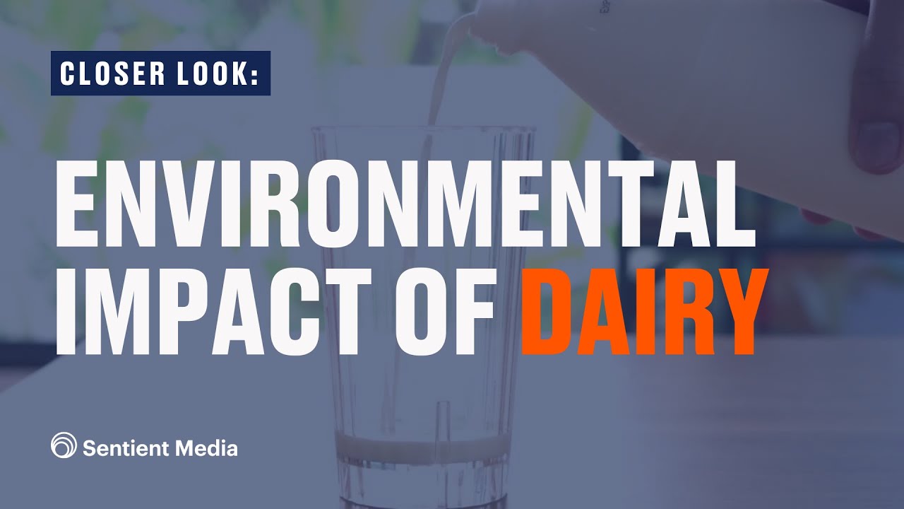 The Environmental Impact of Dairy Production YouTube