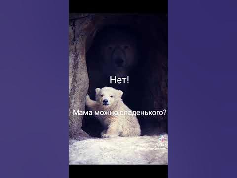 Мс швш мем про еду поддержки копеечкой 4149 4991 4671 8927 - YouTube