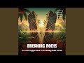 High Desert Sky (Reggae EDM Radio Edit)