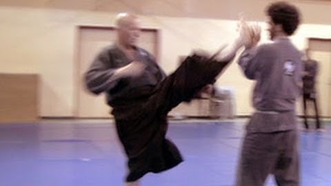 Ninjutsu crescent kick with Aruki - Technique for Akban wiki