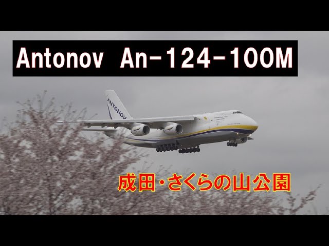 4k 顔にキスマーク フィリピン航空 Love Bus Pihilippine Airlines Airbus A350 成田空港 Youtube