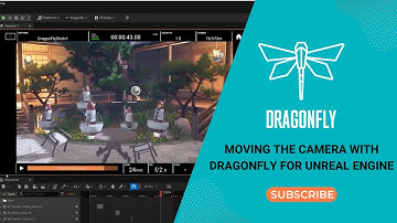 Moving the Camera in DragonFly for Unreal Engine (Getting Started Series #2)