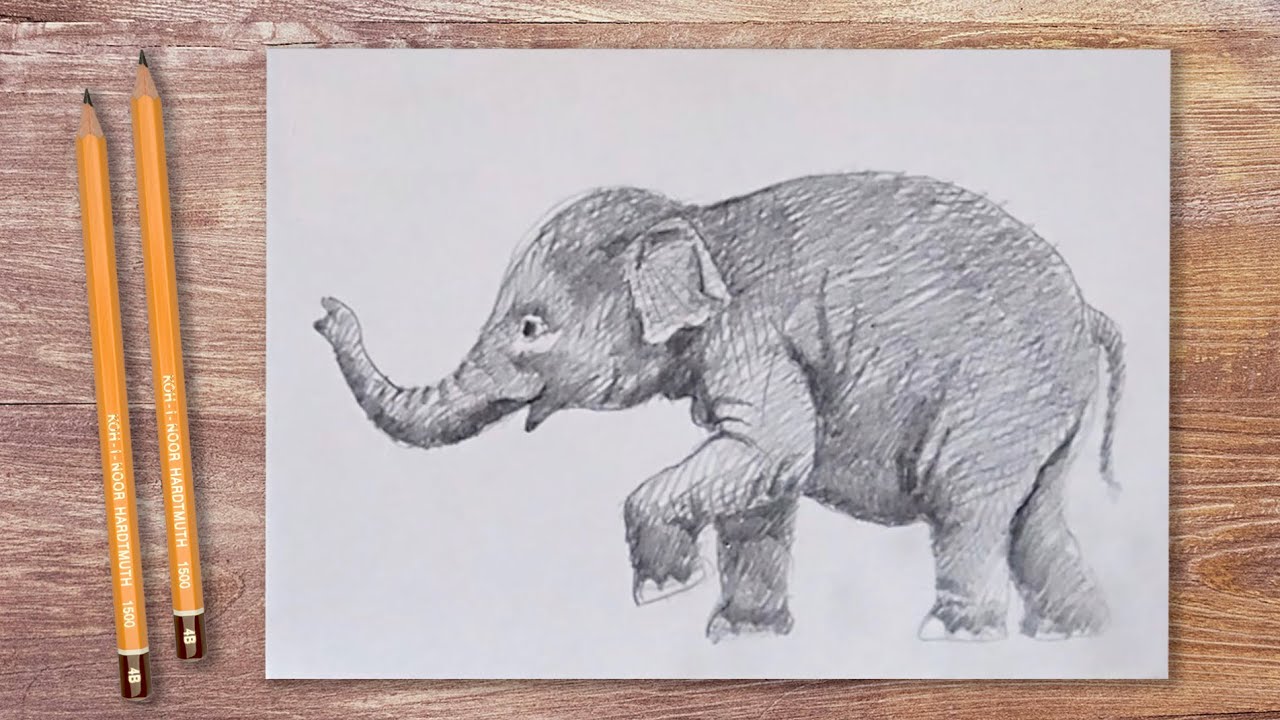Как нарисовать слонёнка? Уроки рисования