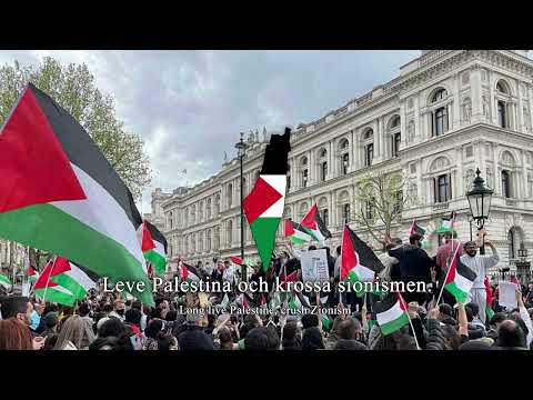 Swedish Pro-Palestine Song