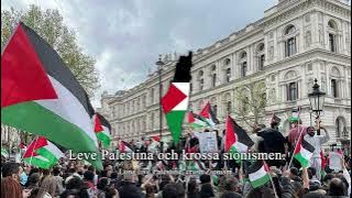 'Hidup Palestina, Hancurkan Zionisme' - Lagu Swedia Pro-Palestina