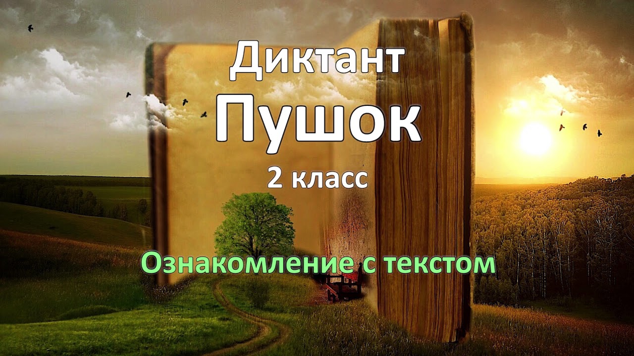 Диктант по русскому языку за 2 класс, Пушок - YouTube