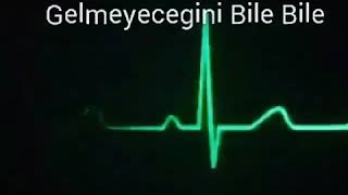 Gelmeyecegini bile bile Resimi