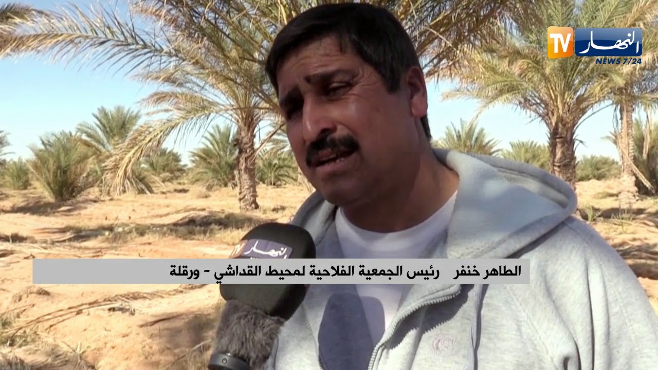 ورقلة: إنعدام المسالك الفلاحية ونقص مياه السقي يؤرق فلاحي القداشي