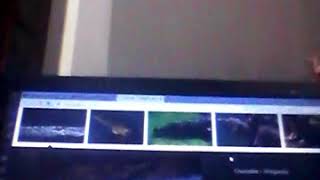 Crash Bandicoot 3 Pt2