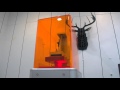 【Demo / Print】Time Lapse for Phrozen One Printing Process 【展示 / 列印】Phrozen One縮時攝影