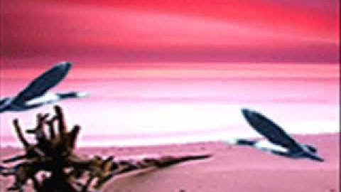 Nhac stieng dieu duc