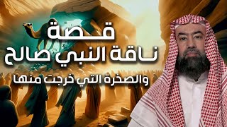 نبيل العوضي | قصة نبي الله صالح عليه السلام و إستكبار ثمود