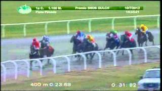 Reunion Nro 62 Fecha 10-07-2013, Carrera N� 1