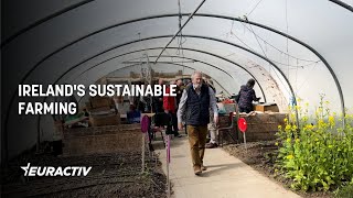 Voices from the field: The future of Ireland’s sustainable farming