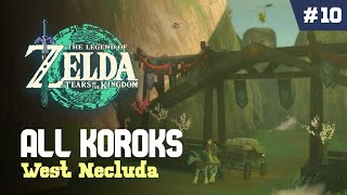ALL West Necluda KOROK Seeds | Zelda Tears of the Kingdom