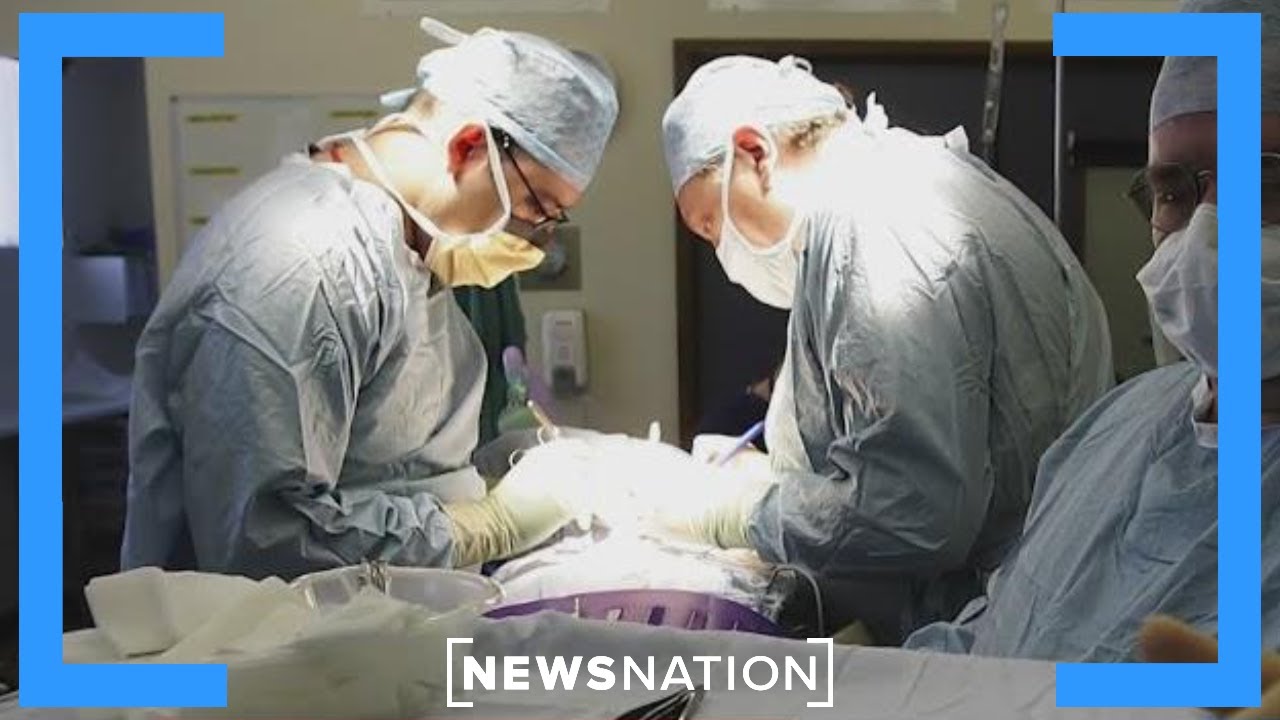'Disturbing' organ donation practices spur federal reform | Morning in America | Morning in America