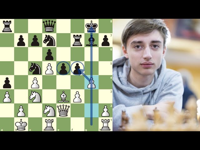 A tática dos Campeões Mundiais de Xadrez - De Steinitz a Carlsen! - Douglas  Jen - O Estrategista