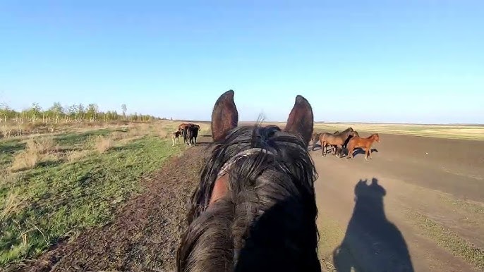 25-30 жас аралығындағы тәттілермен порно