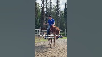 Working With A Client’s EMM Mustang! Part 8! | The Horse Guru - Michael Gascon