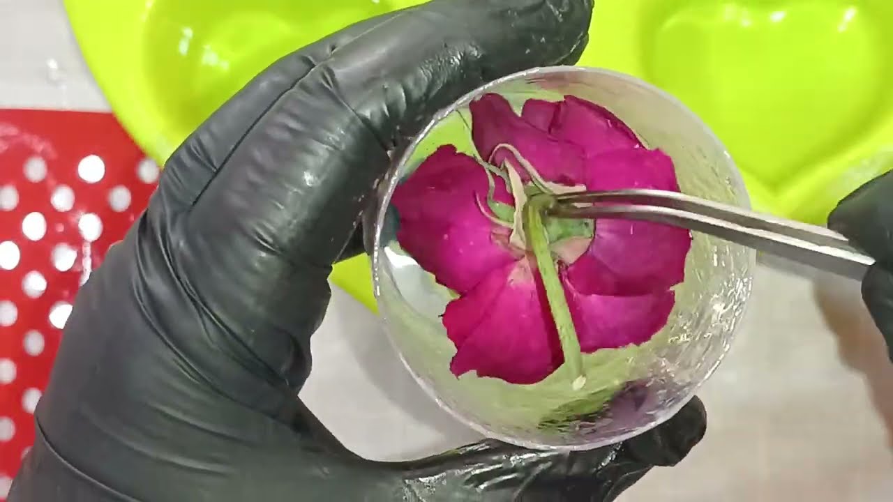 Como fica uma rosa desidratada inserida na resina epoxi   . #resina #resinaepoxi