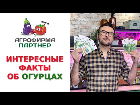 ИНТЕРЕСНЫЕ ФАКТЫ ОБ