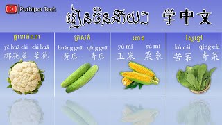រៀនចិនអំពីបន្លែ | Learn Chinese 【学中文】 Puthipor Tech _ Part 7