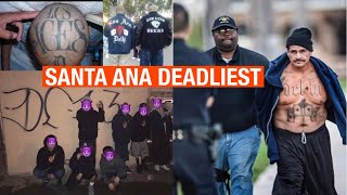 THE STORY OF DELHI 13 LOS ACES SANTA ANA DEADLIEST GANG