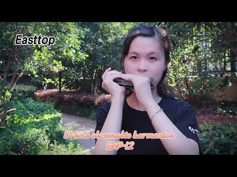 经典古风歌曲 断桥残雪  | Easttop chromatic harmonica EMP-12