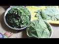 gaon ka sabse purana dish #Soni Kumari 155