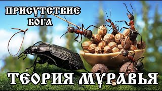 Присутствие Бога. Теория муравья.