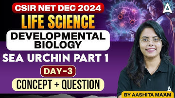 CSIR NET Dec 2024 | Developmental Biology - Sea Urchin Part -1| Concept + Questions | Day - 3