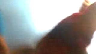 MOV0224A