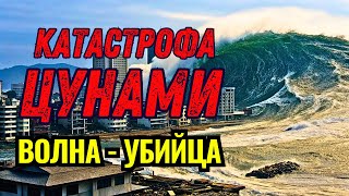 ЦУНАМИ в АЗИИ 2004г. // Землетрясение, утопившее 230 000 человек