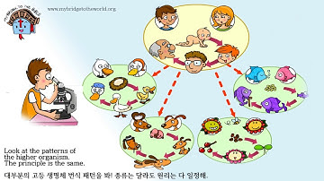 How Did the World Begin? 🌍 Creation vs. Evolution | #BibleStory for Kids (Genesis 1)