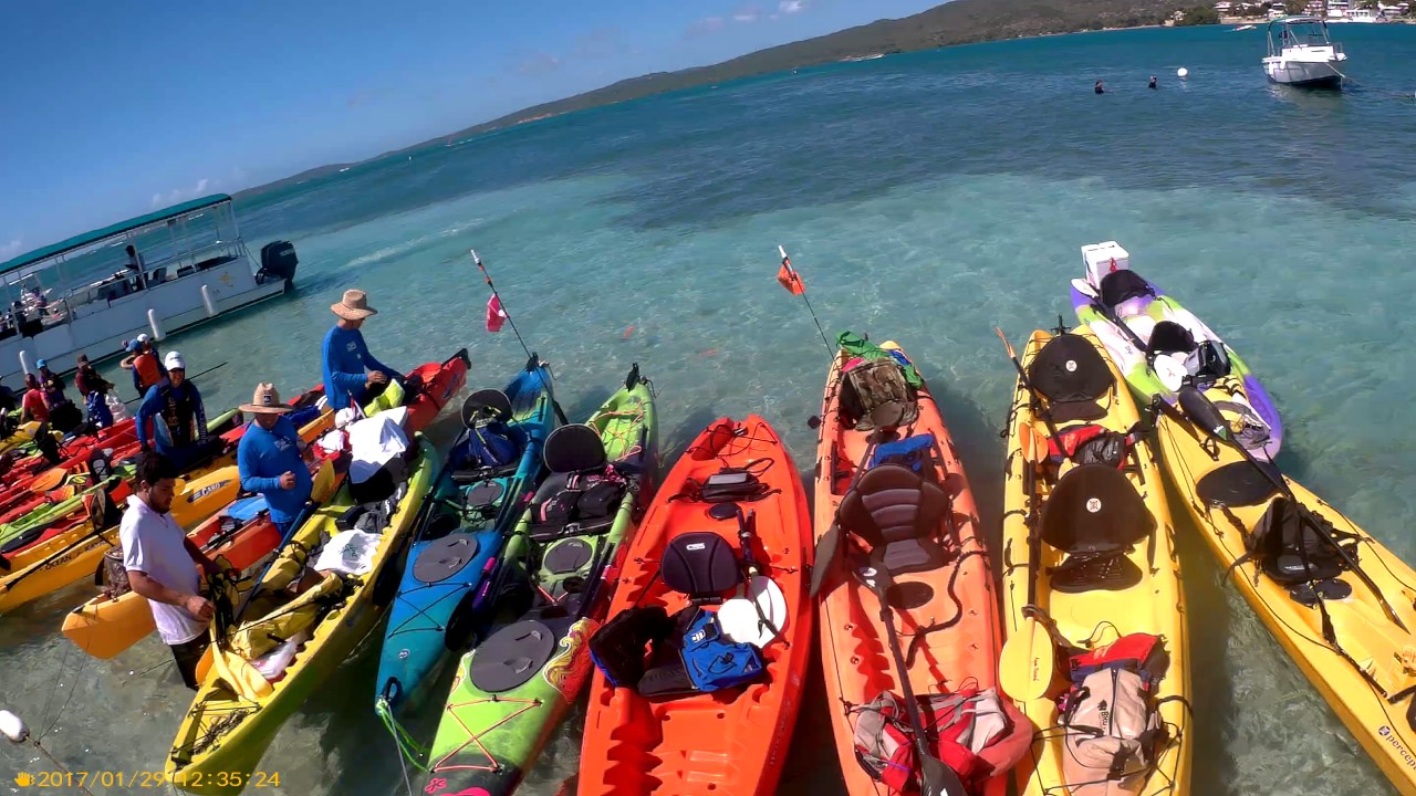 Las Aventuras Kayakeras del Club Aqua Sports Kayaks en Puerto Rico