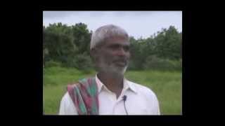 Ridge guard cultivation Kannada BAIF Karnataka