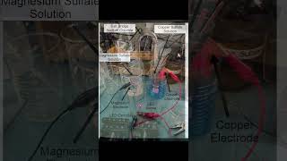 Salt Bridge Magnesium and Copper Electrodes