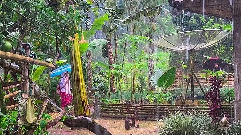 Angin Kencang, Mencekam !!, Tapi Bikin Betah, Hujan Deras Mengguyur Kampung Di Jawa Barat, Garut