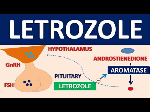 Letrozole - Mechanism, side effects, precautions and uses