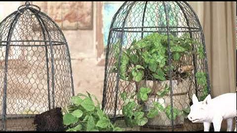 AV Business Programming