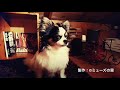 中村里美&伊藤茂利・ハラハラと涙