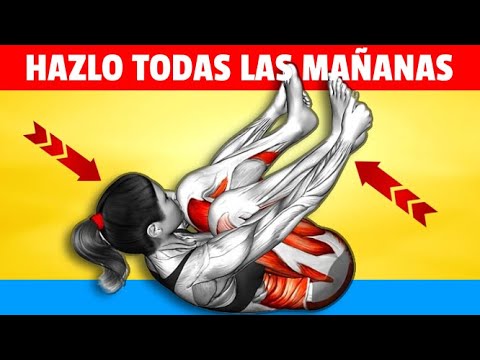 Estiramientos MATUTINO de