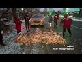 Куры выпали в осадок на асфальт