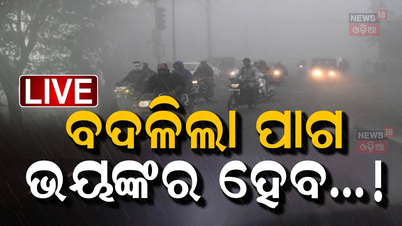 ୬ ଜିଲ୍ଲାକୁ ୱାର୍ଣ୍ଣିଂ, ୨୪ ଘଣ୍ଟାରେ ରାଜ୍ୟରେ ବଢ଼ିବ ଶୀତ Cold wave to sweep Odisha | Weather News